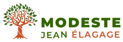 elagage-13-modeste-jean-elagage